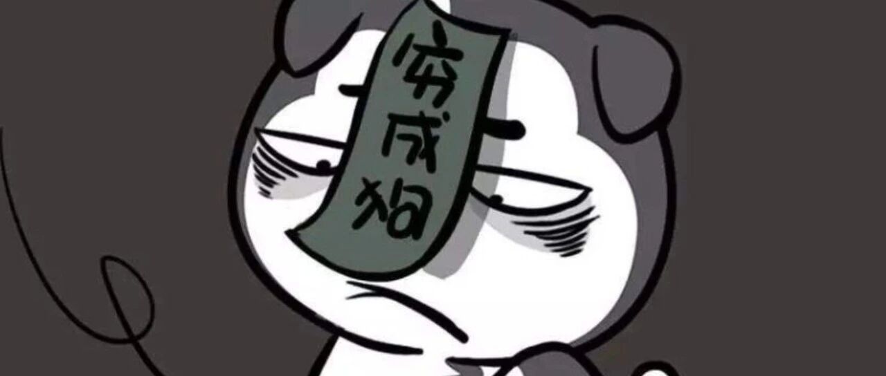 死贵死贵的封面图